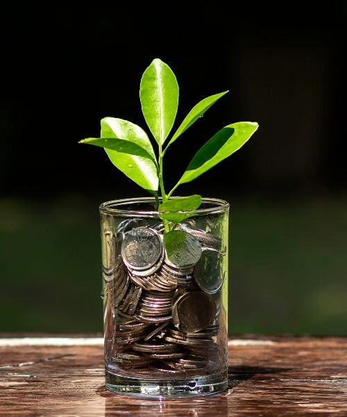 Investment Visual